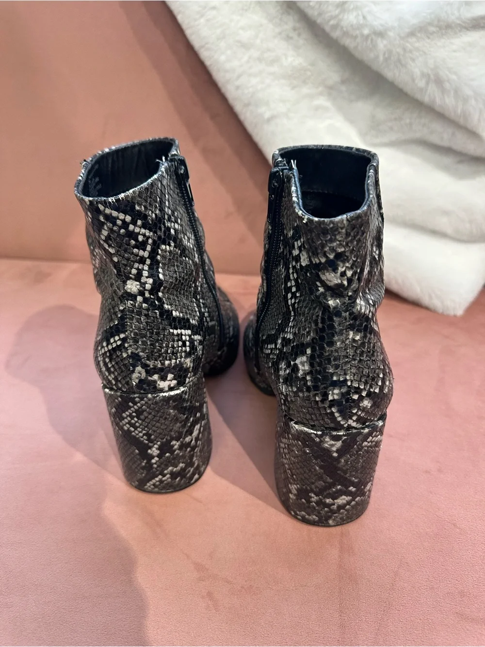 Steve Madden Black & Gray Snake-Print Ankle Boots